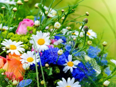 看似家徒四壁实则家缠万贯