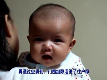 30厘米长老鼠夜闯2岁宝宝床：一场惊心动魄的“邂逅”