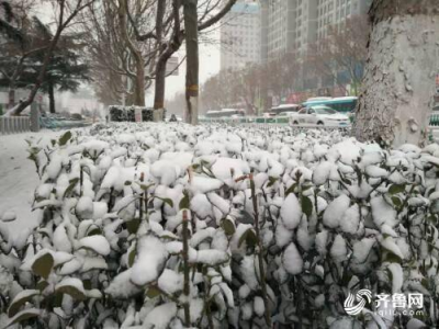 “京城飘雪，局地累计降雪量达8毫米，冬日美景尽收眼底”