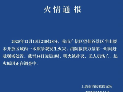 斩断污秽，捍卫正义：血祭大刀下的坚定誓言