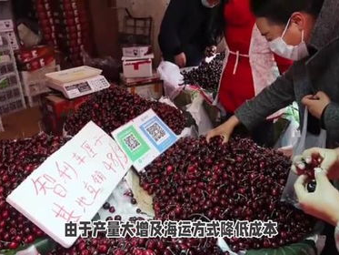 车厘子批发价大跳水