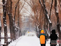 “京城飘雪，银装素裹映繁华”